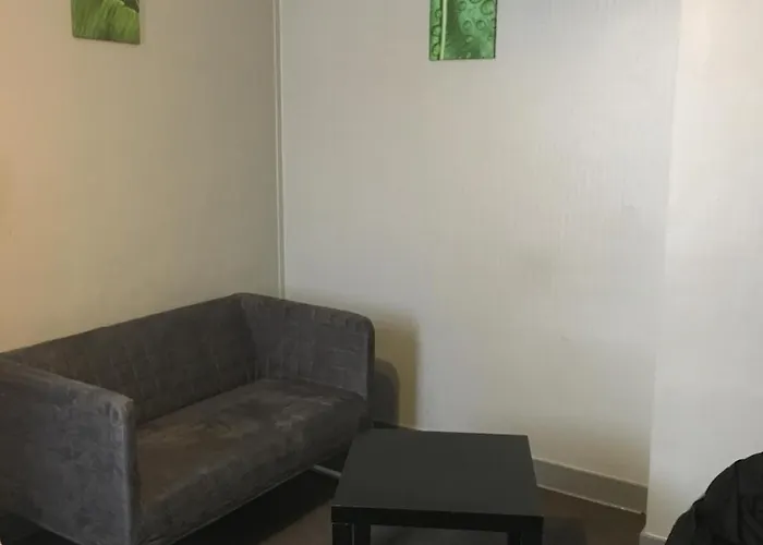 公寓式酒店 Appotel Michelet 图尔